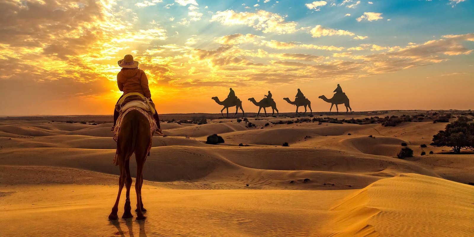 Udaipur to Jaisalmer Tour