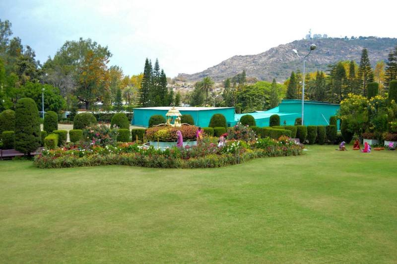 Peace Park